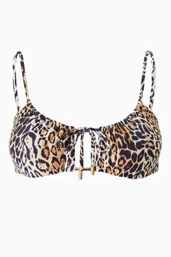 Egypt Leopard-print Bikini Top in Stretch Nylon