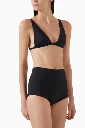 Denise High-waisted Bikini Briefs
