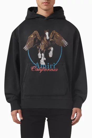 Vintage Wash Pegasus Hoodie in Cotton