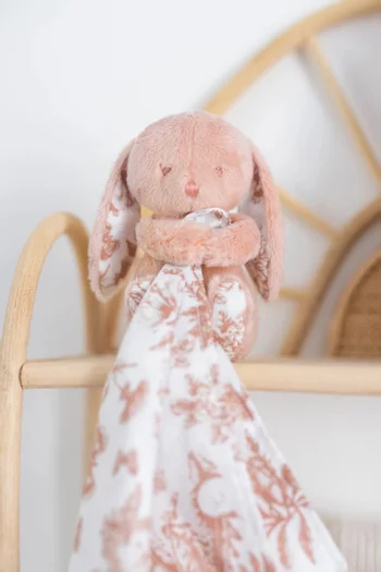 Augustine the Rabbit Comforter