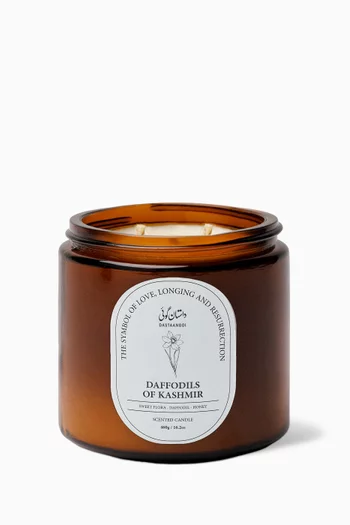 Daffodils of Kashmir Candle, 460g