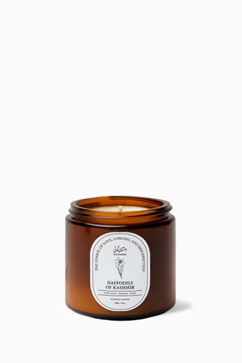Mini Daffodils of Kashmir Candle, 100g
