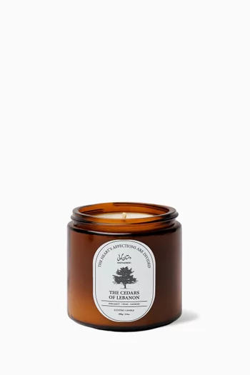 Mini Cedars of Lebanon Candle, 100g