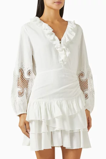 Embroidered Ruffle Mini Dress