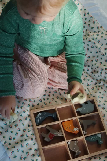 Mini Animal Toy Set in Wood