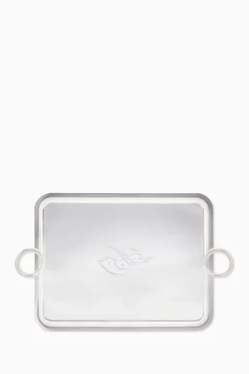 صينية فيرتيجو معدن مطلي بالفضة مقاس XL