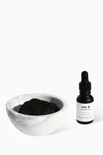 No.6 Hyssop Concrete Bowl Diffuser Set, 142g