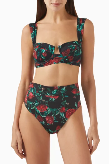 Ines Bikini Briefs in Stretch Nylon