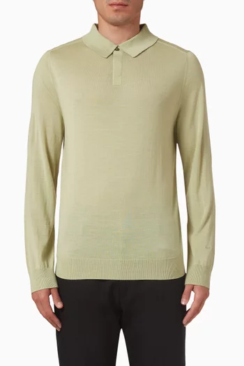 Knitted Polo Shirt in Merino Wool