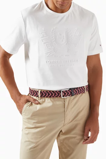 Denton Belt in Braided Fabric