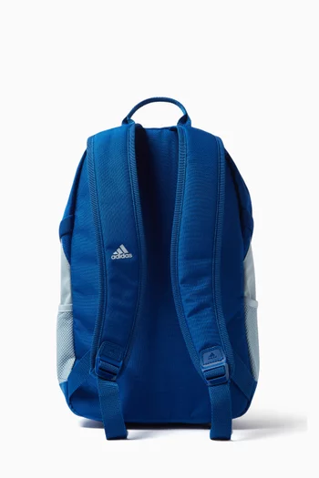 Power Backpack