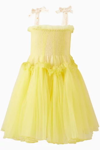 Nikola Flared Dress in Mesh