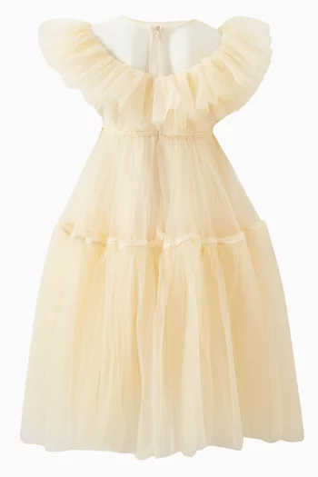 Shoshana Flared Dress in Mesh