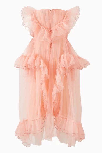 Rosella Flared Dress in Mesh