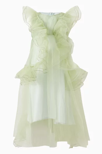 Rosella Flared Dress in Mesh