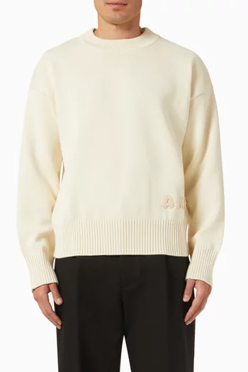 Logo Embroidered Crewneck Sweater in Cotton & Wool Knit