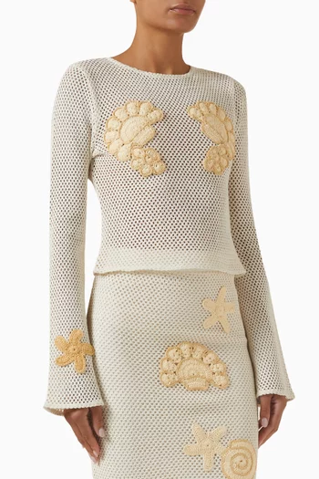 Enza Long-sleeve Crop Top in Crochet-knit
