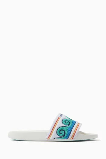 Wave Slides in Terry