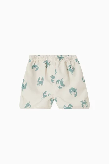 Aiden Swim Shorts