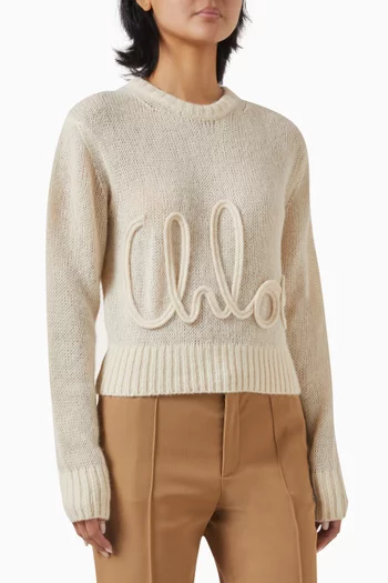 Embossed Logo Sweater in Knit