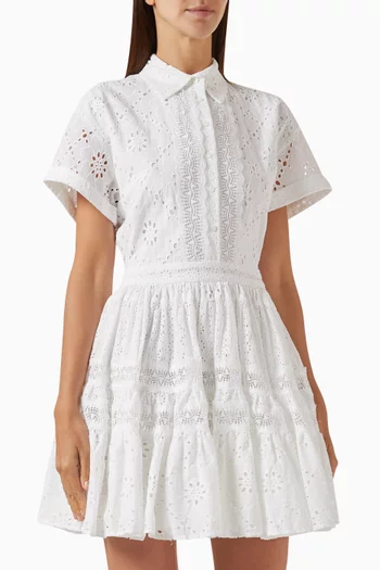 Embroidered Mini Dress in Cotton