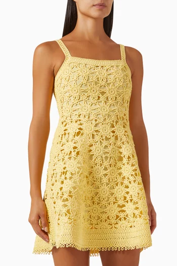 Rust Mini Dress in Lace