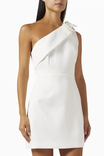 Celia Asymmetric Mini Dress