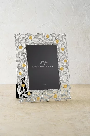 Pomegranate Frame