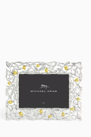 Pomegranate Frame