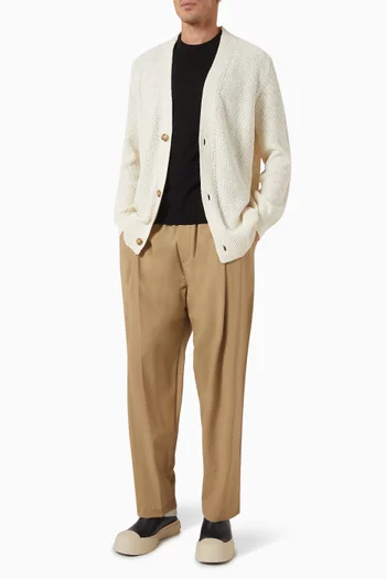 Pleated Pants in Wool