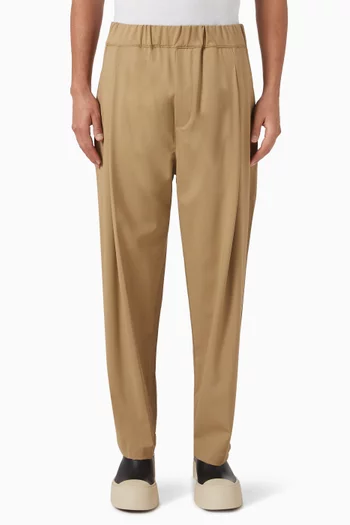 Pleated Pants in Wool