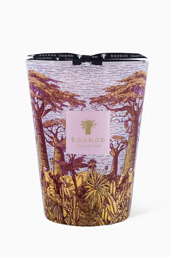 Max 24 Sacred Trees Massasso