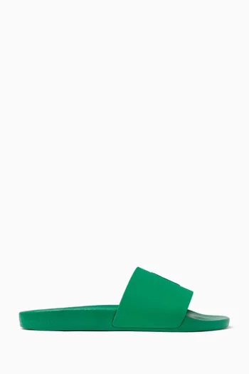 Signature Pony Slides
