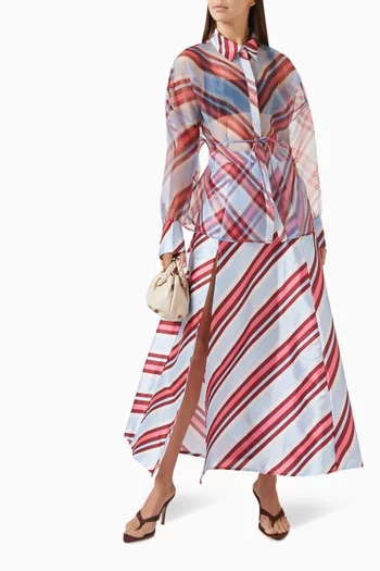 Striped Circle Skirt in Taffeta