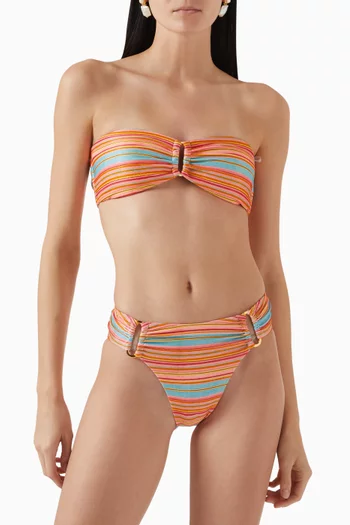 Detail Fanned Bikini Briefs