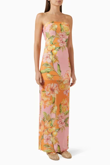 Sofia Tube Dress