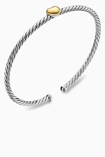 Micro Cable Flex® Heart Station Bracelet