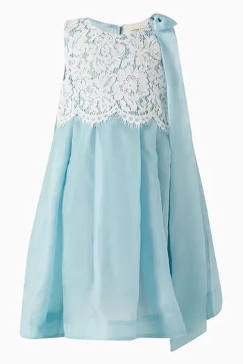 Bow & Lace Dress