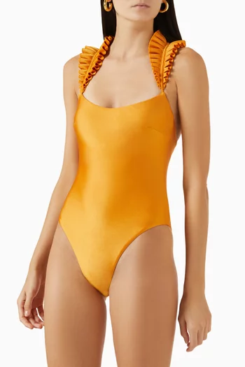 Tisi One-piece Swumsuit