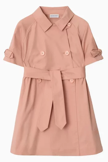 Chloe A-line Dress in Cotton