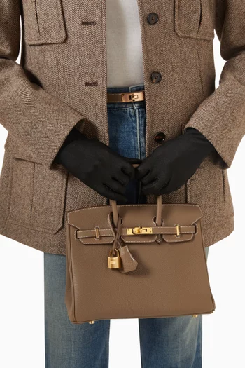 Unused Birkin 25 in Togo Leather