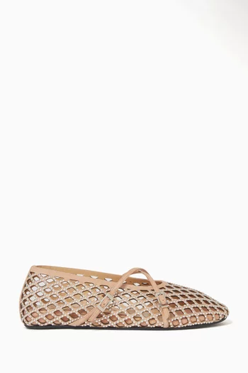 Ballet Flats in Crystal Mesh & Suede