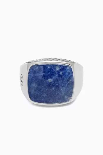 Dumortierite Signet Ring in Silver-tone Steel