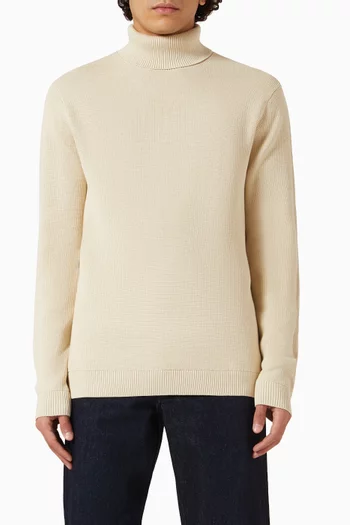 Turtleneck Sweater in Cotton