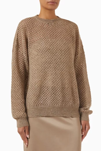 Dazzling Sweater in Mesh