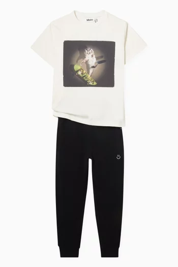 Riley Skate Park T-shirt in Organic Cotton