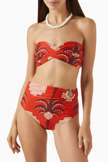 Taita Bikini Briefs in Lycra