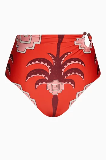 Taita Bikini Briefs in Lycra