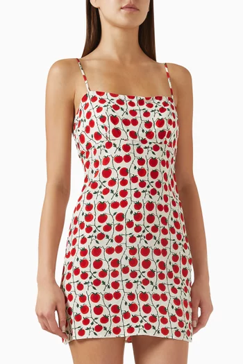Remington Printed Mini Dress in Viscose