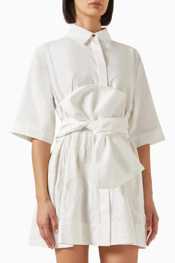 Otterford Mini Dress in Cotton
